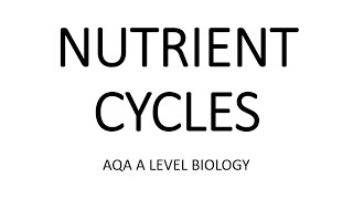 NUTRIENT CYCLES  AQA A LEVEL BIOLOGY  EXAM QUESTIONS RUN THROUGH [upl. by Ly973]