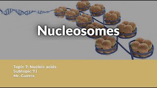 QUESTION SOLVED Nucleosome structure and functions  IB Biology Topic 7 [upl. by Yenor751]