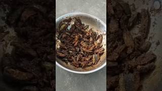 dondakaya fry recipe in telugu rjalaveni dondakaya fry telugurecipes trendingrecipes viral 1m [upl. by Choong]