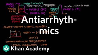 Antiarrhythmics  Circulatory System and Disease  NCLEXRN  Khan Academy [upl. by Essie143]