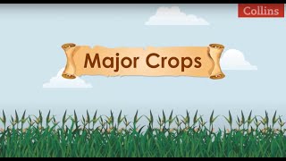 Major Crops [upl. by Imelida]