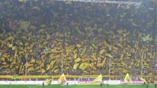 BVB Hymne Live einfach Geil [upl. by Llekcir]