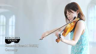 Roderich Paesold PA802J ローデリヒ・ペゾルト PA802J バイオリン紹介・演奏【Violinist：漆原直美】 [upl. by Lime]