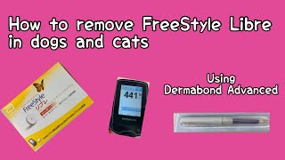 How to remove Freestyle Libre in dogs and cats using Dermabond Advanced [upl. by Hedy]