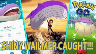 SHINY WAILMER CAUGHT AND EVOLVED IN POKEMON GO [upl. by Aihtyc79]