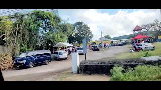 Voting at Boscobel Primary in St Mary Jamaica 🇯🇲 22624 [upl. by Camfort]