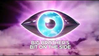 Big Brother UK  Series 122011 Episode 34b Bit On The Side [upl. by Polloch]