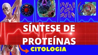 SÍNTESE DE PROTEÍNAS  TRADUÇÃO SÍNTESE PROTEICA  CITOLOGIA  FACILITANDO A MEDICINA [upl. by Mines]