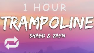 1 HOUR 🕐  SHAED x ZAYN  Trampoline Lyrics [upl. by Leumhs]