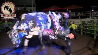 ¡¡15 TORAZOS BARBAROS Rancho La Mision En Ciudad Guzman Jalisco 2016 [upl. by Atiekram]