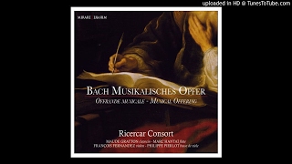 JS Bach  Ricercar Ricercar Consort [upl. by Olivette]