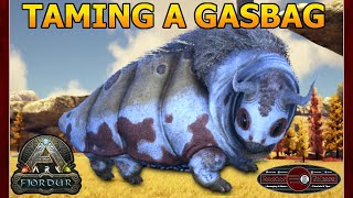 Taming A Gasbag  Ark Survival Evolved Fjordur  Episode 23 [upl. by Adriana]