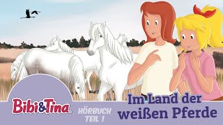 Bibi amp Tina  Im Land der weißen Pferde  über 1 Stunde Entspannung Teil 1 [upl. by Danette]