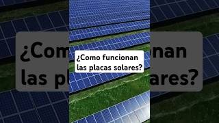 ¿Cómo Transforman los Paneles Solares la Luz Solar en Energía [upl. by Noyrb]