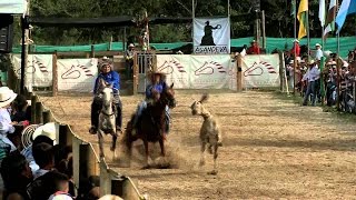 Características del Campeonato de Vaquería la Pintada  TvAgro por Juan Gonzalo Angel [upl. by Thinia654]