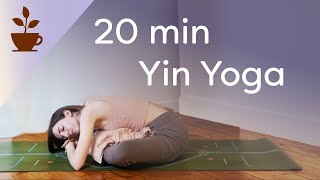 20 min Yin Yoga  Flexibility For Hamstrings Hips and Toes [upl. by Eiramlirpa]