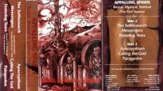 APPALLING SPAWN czech rep ´´bestial mysticalampspiritual the first spawn´´ demo 1996 [upl. by Saideman]