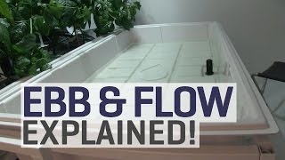 Ebb and Flow Hydroponics Explained [upl. by Rogovy]