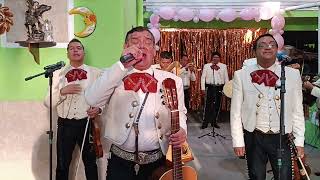 Acuarela Potosina Mariachi Premier de México de Enrique González [upl. by Enymzaj365]