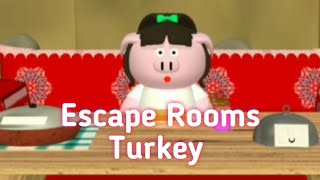 Escape Rooms Turkey Nakayubi [upl. by Ztirf]