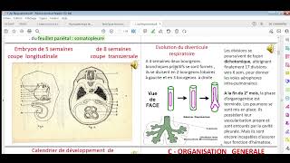 Appareil respiratoire 01 [upl. by Christabel]