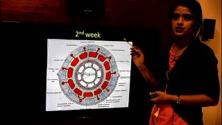 THE PLACENTAHUMAN EMBRYOLOGYDR ROSE JOSE MD [upl. by Jemie]