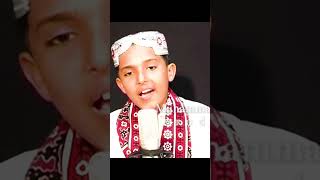 Shorts waag dhani tuhnje wass lyrics Shah Jo Risalo singer sadam latif chandio Sufi song [upl. by Alejo142]