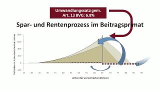 Der Unterschied zwischen Beitragsprimat und Leistungsprimat [upl. by Eirrak]