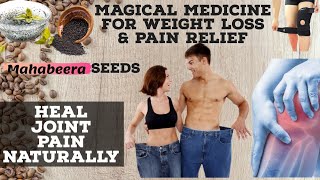 Mahabeera Seeds  Magical Medicine for Pain Relief and Weight Loss [upl. by Assilav]