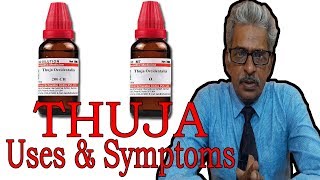 Thuja  Symptoms and Uses in Homeopathy by Dr PS Tiwari [upl. by Ozner]