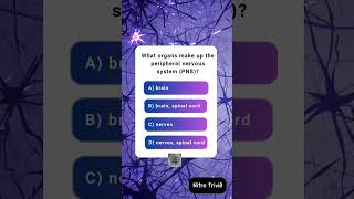 What organs make up the peripheral nervous system PNS shorts shortsfeed [upl. by Attenal]