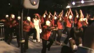 Delta Sigma Theta Lambda Psi 2010 Probate Part 6 [upl. by Onid]