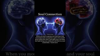 Psychologist Sam Says Soul Connection [upl. by Amadus412]