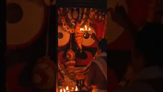 Jagannath Arati  Patitpaban Jagannath  Puri Jagannath Temple  viral shorts video jagannath [upl. by Arzed]