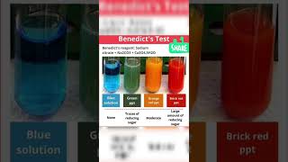 Benedicts Testshorts shortsvideo viralshorts chemistrymagic chemistrylab sciencetrivia [upl. by Ilyah]