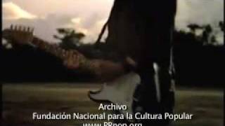 Vivanativa en vídeo clip Puro amor [upl. by Aicener]