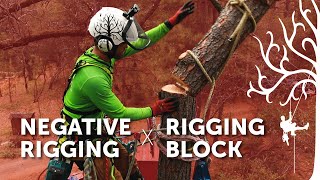 Negative rigging basics Pt2  Using a Rigging Block or Pulley  howto Arborist climber tutorial [upl. by Koo597]