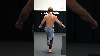 6 Leg Animal Movements from Beginner to Advanced [upl. by Yrdnal]