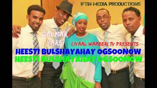 Dalmar Yare BULSHAYAHAY OGSOONOW Hees Wadani Puntland 2014 Audio [upl. by Enneire]