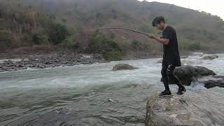 Goonch caught Raw Footage  Himalayan Anglers [upl. by Parish]