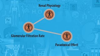 USMLE Prep  Renal Physiology  Glomerular Filtration Rate  Paradoxical Effect [upl. by Yla]