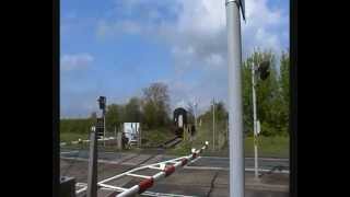 Steam Ivor the Engine  Wallingford level crossing May 2012 [upl. by Ceil]