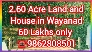 WRE80 260 Acre Land and House for sale in Wayanad [upl. by Enihpad]