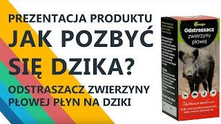 Jak pozbyć się dzika Odstraszacz dzików Odstraszacz na dziki Płyn na dziki 250 ml [upl. by Nonnaihr]