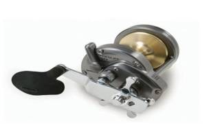 Shimano Torium 14 Stardrag SW Conventional Reel [upl. by Esiocnarf]