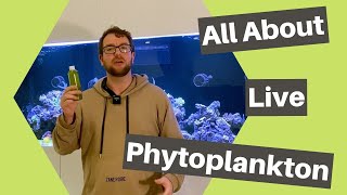 Live phytoplankton and why you should add it to your reef tank [upl. by Aihsenrad]