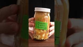 Fermented Garlic HOT Honey The Ultimate Condiment [upl. by Vel]