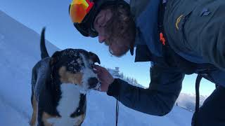 Met Marley en Sam op avontuur in de Oostenrijkse bergen [upl. by Nagap]