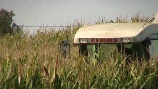 ensilage de mais 2010 mais silage 2010 [upl. by Zimmer608]