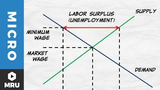 Price Floors The Minimum Wage [upl. by Narba]